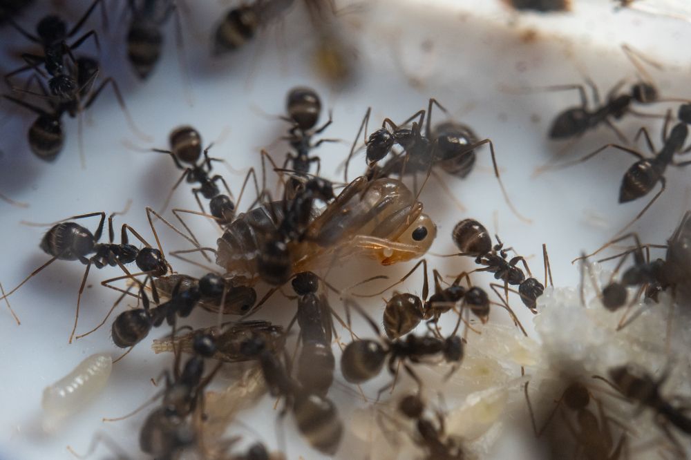 Photograph by Thanh Trinh