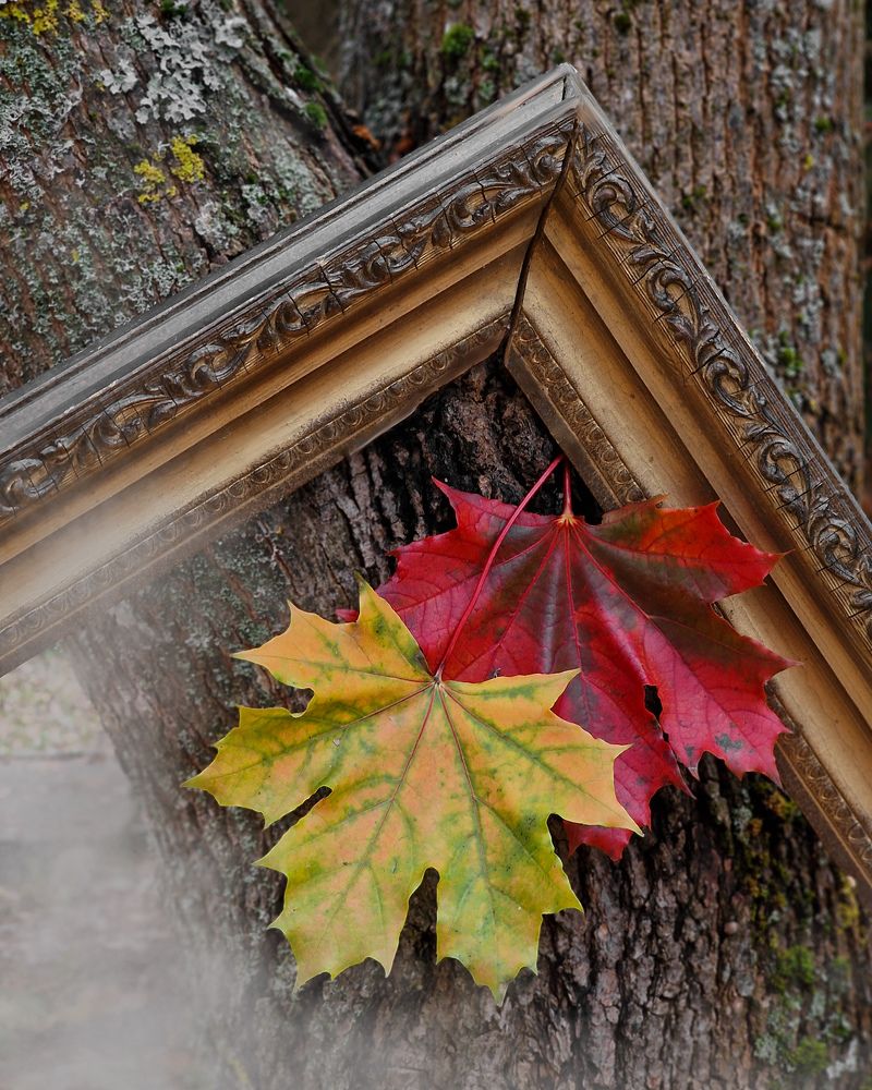 Любви все живности покорны