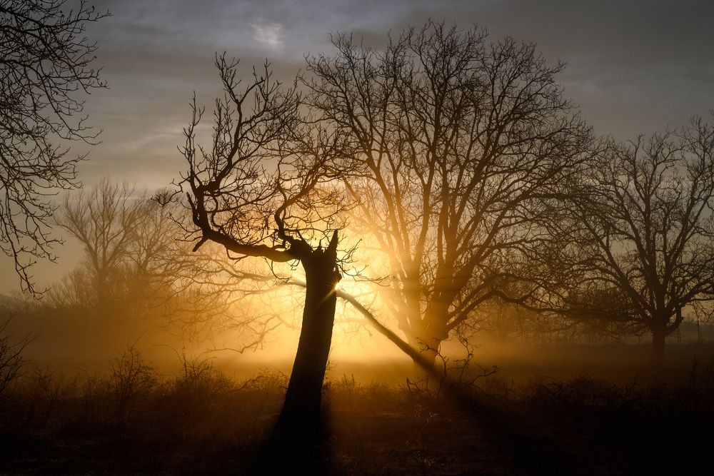 Photograph by Plamen Petkov