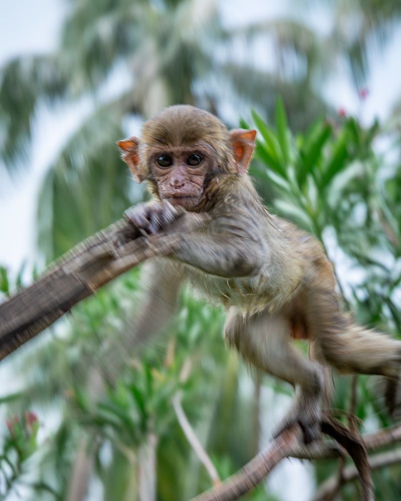 Фотография автора Сергей Рыженко