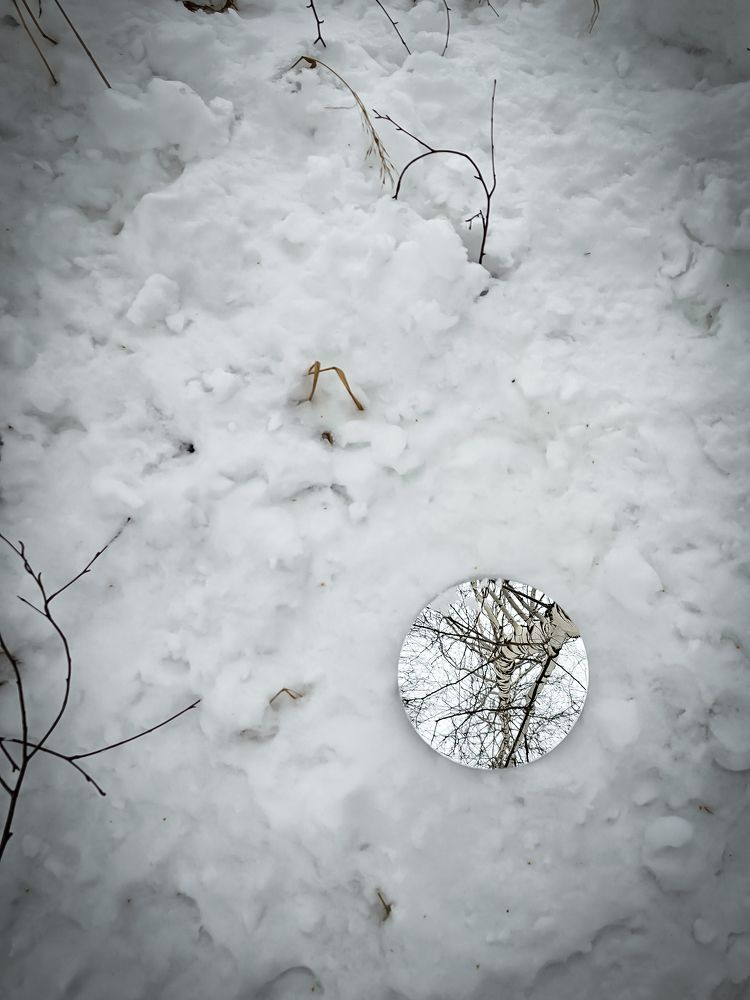 Photograph by Елена Сиушова