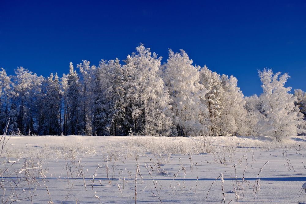 Photograph by Надежда Кангина