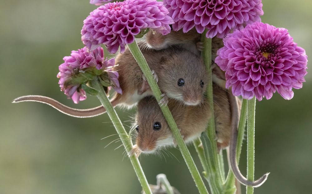 Фотография автора MARIA KULA