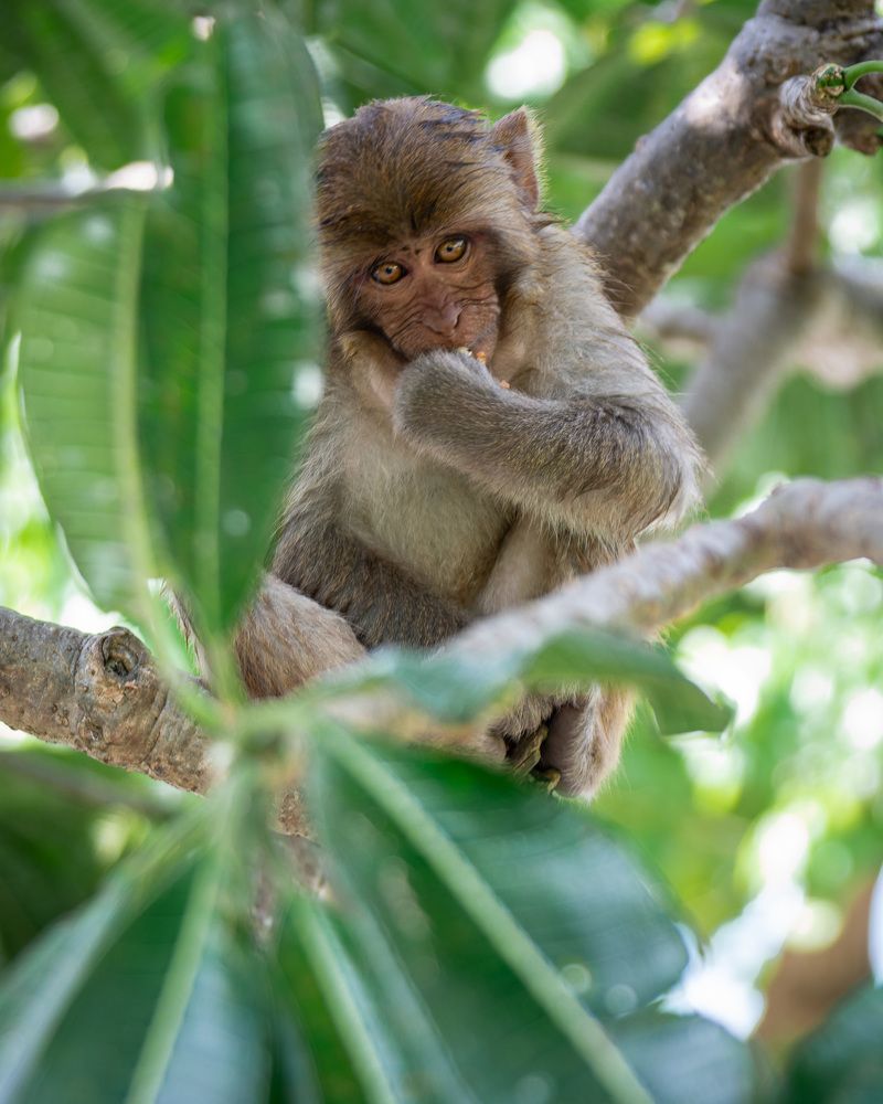 Фотография автора Сергей Рыженко