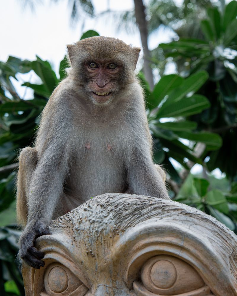 Фотография автора Сергей Рыженко