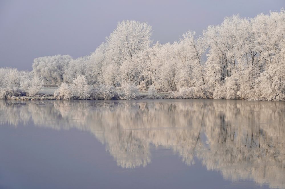 Фотография автора Liudmila Kiermeier