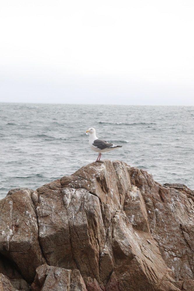 Photograph by Елена Квинт