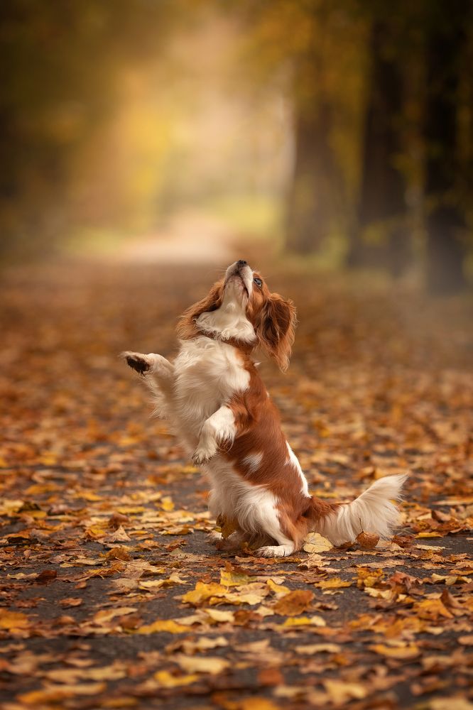 Photograph by Валентина Князева