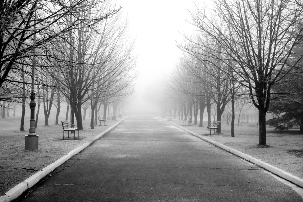 Photograph by Валерий Вторыгин