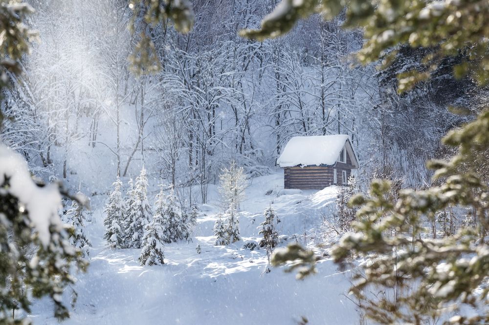 Photograph by Андрей Щербинин