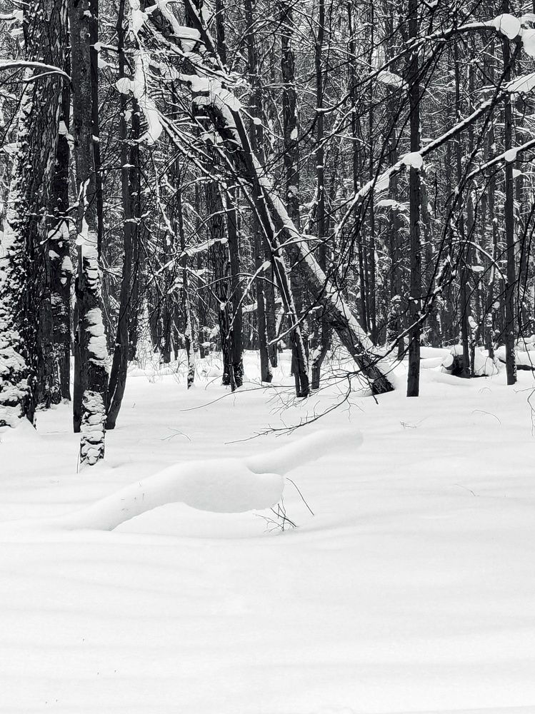 Photograph by Екатерина Чижевская