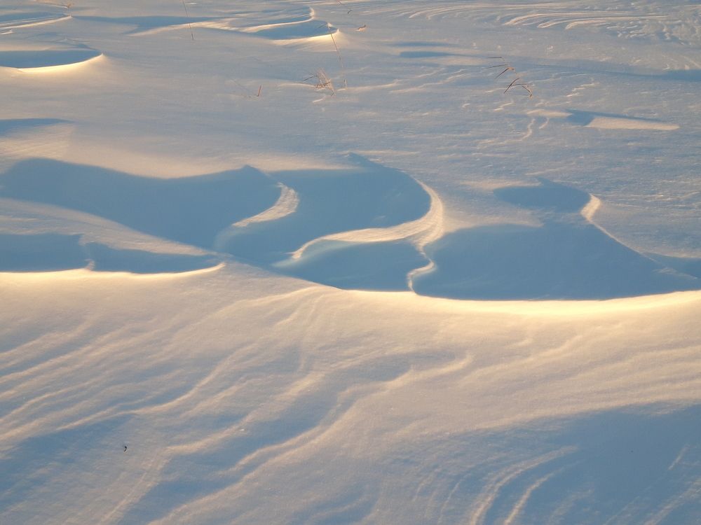 Photo #11722144
