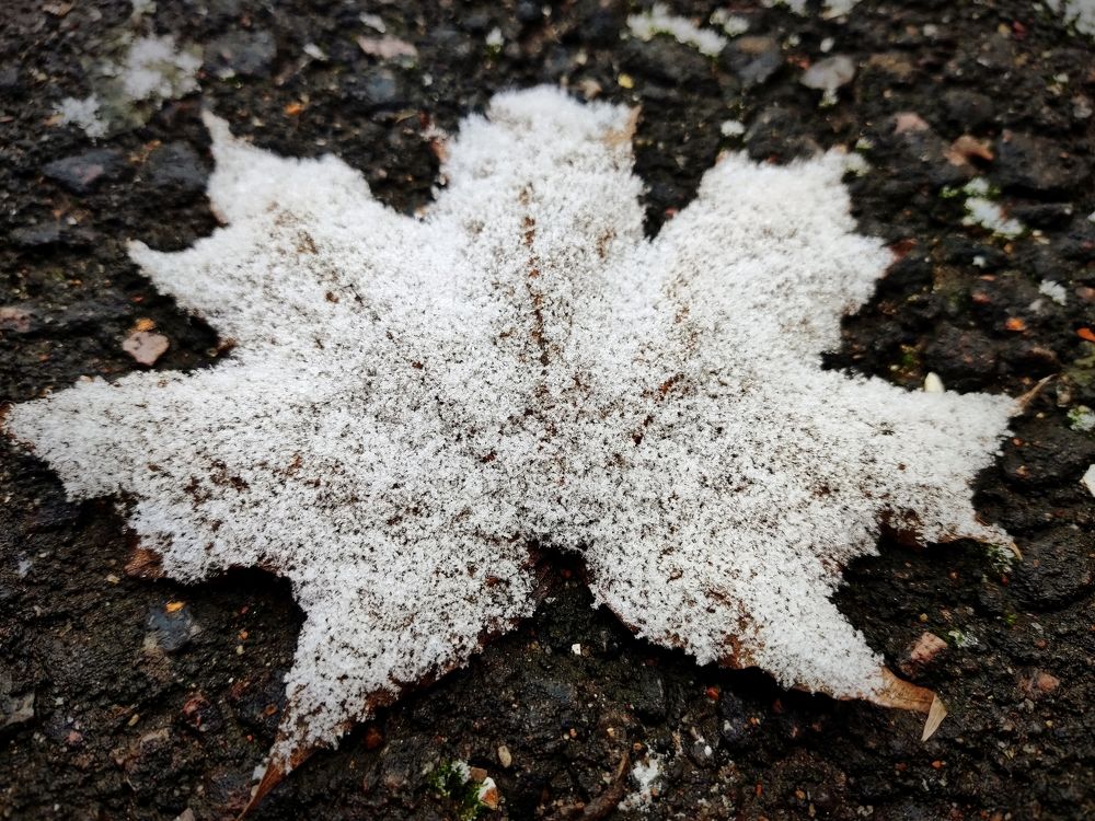 Photograph by Сергей