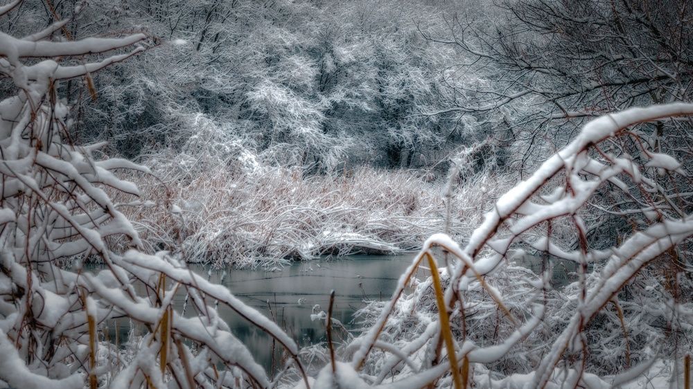 Photograph by Литвинова Галина