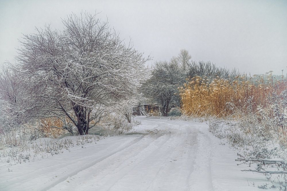 Photograph by Литвинова Галина