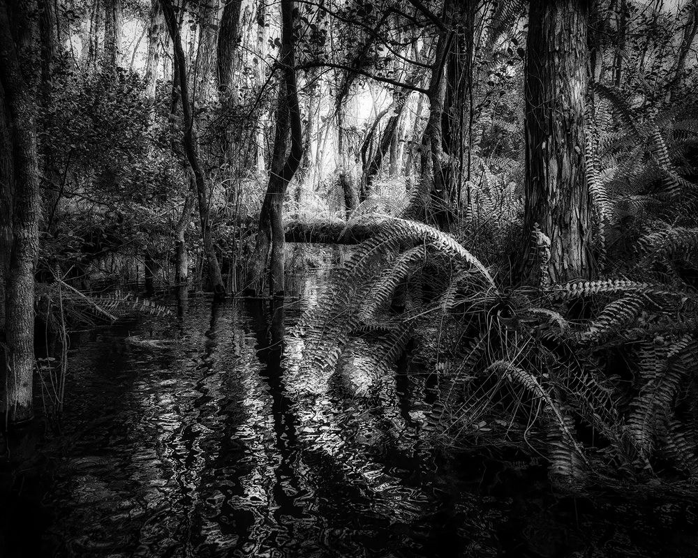 Фотография автора Ray Asiala