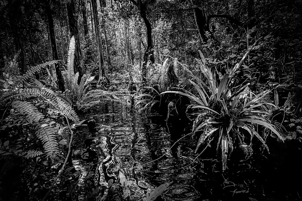 Фотография автора Ray Asiala