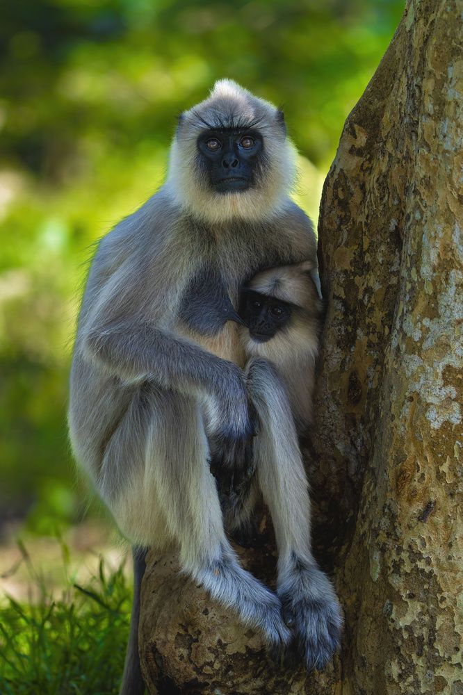 Photograph by Leslee Jayachandran