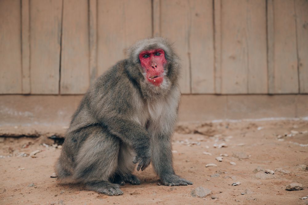 Photograph by Олег Гуляков