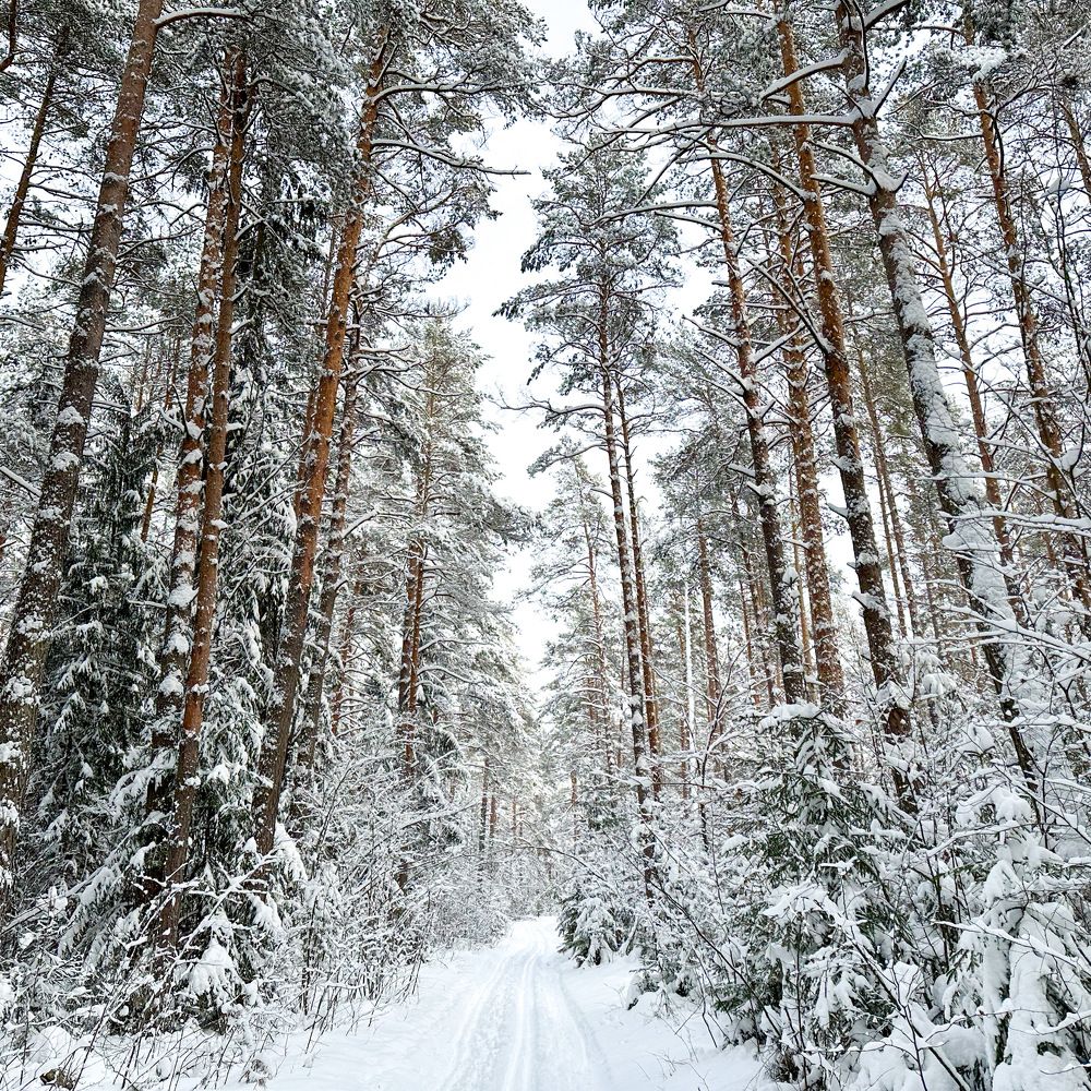 Photograph by Evgeniy Sharakhov