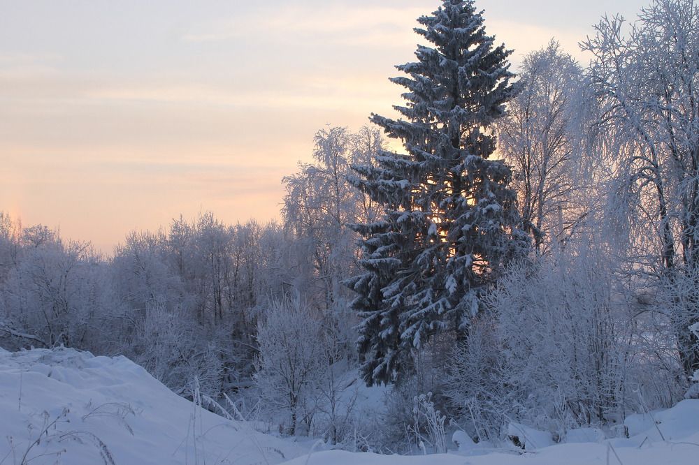 Photograph by Наталья Онофренчук