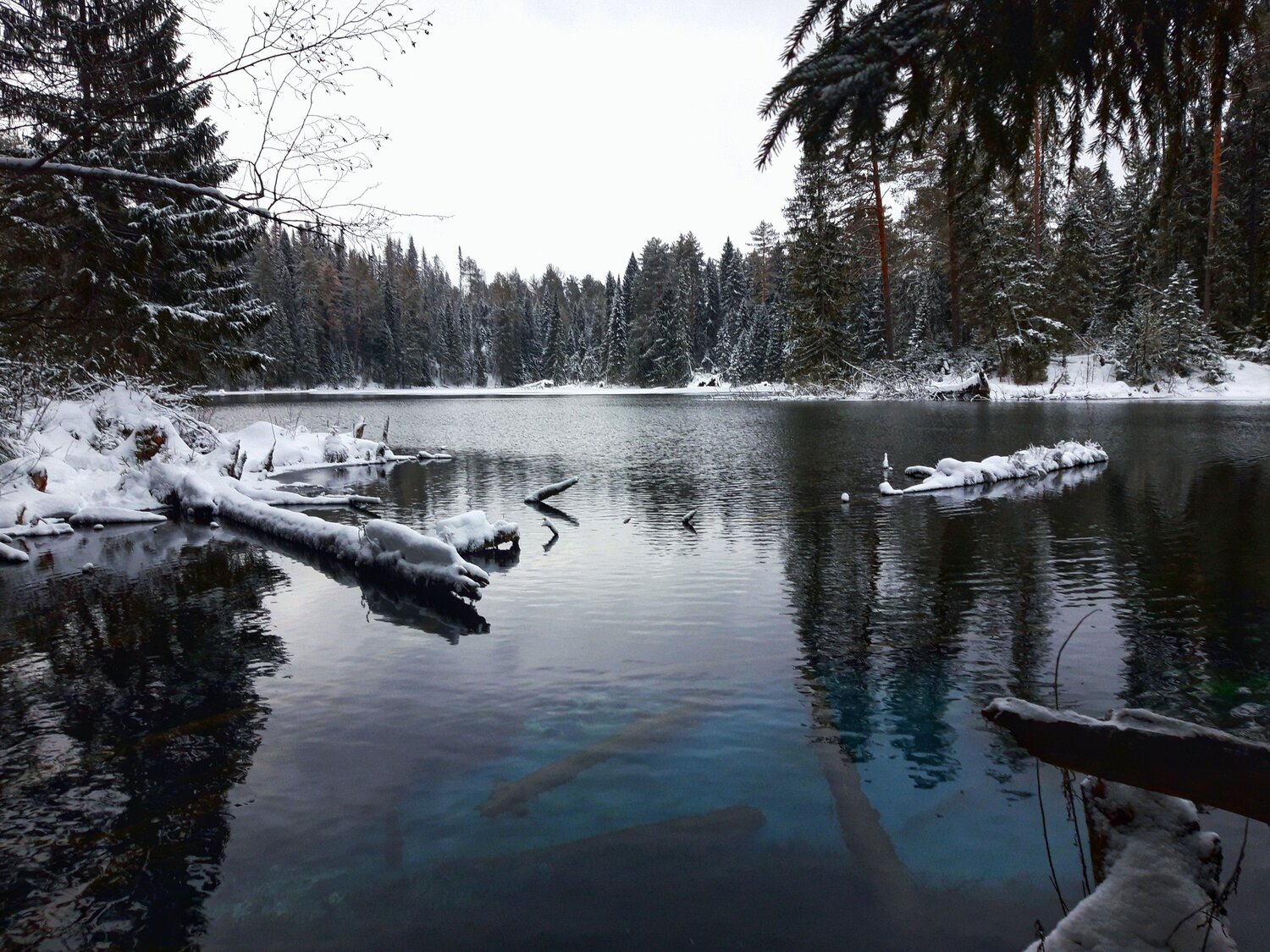 Photo #11722295