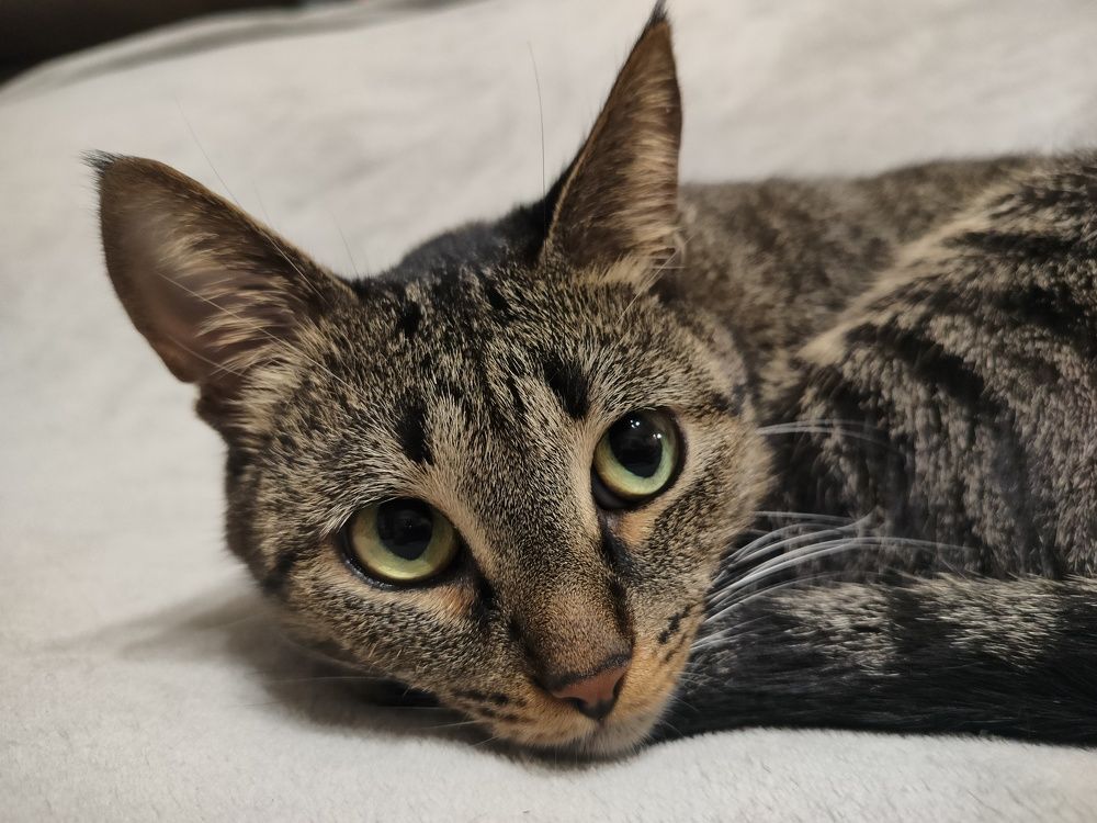 Фотография автора Екатерина Косарева