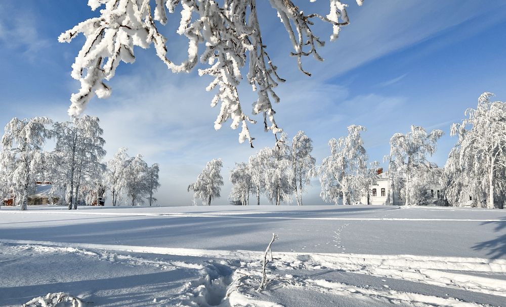 Photograph by Анна Стрелковская