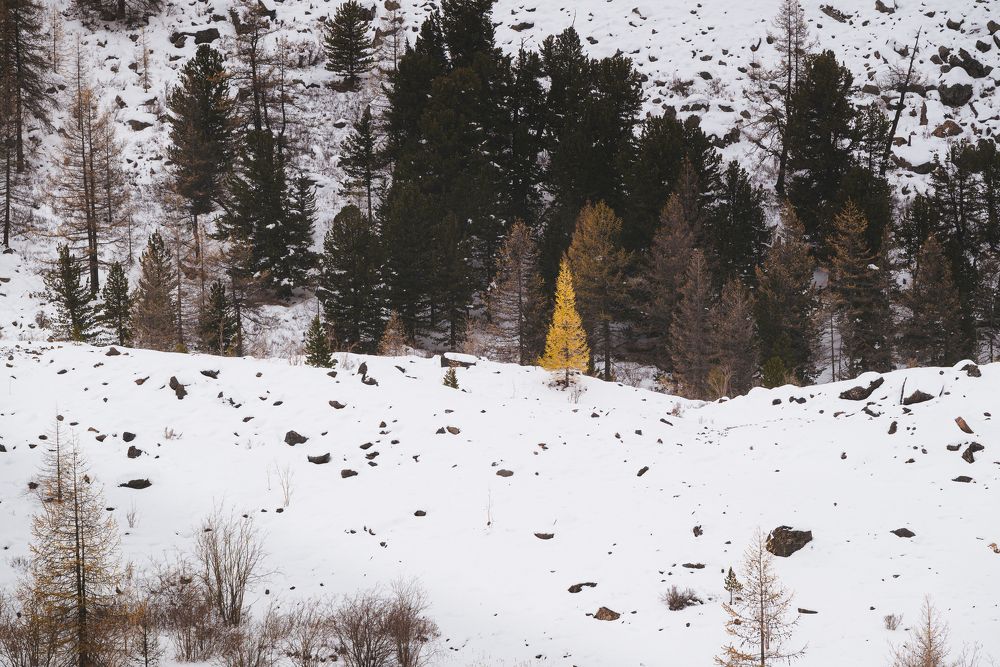 Photograph by Олег Гуляков