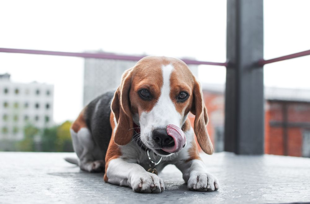 Photograph by Дарья Зайцева