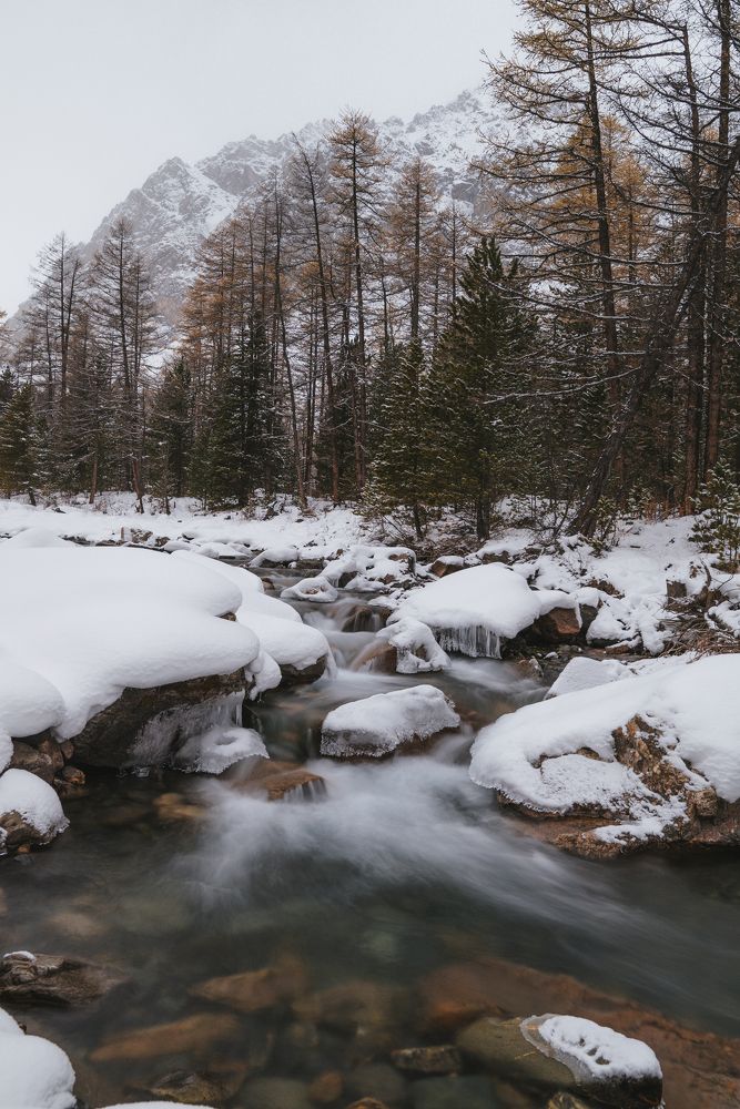 Photograph by Олег Гуляков