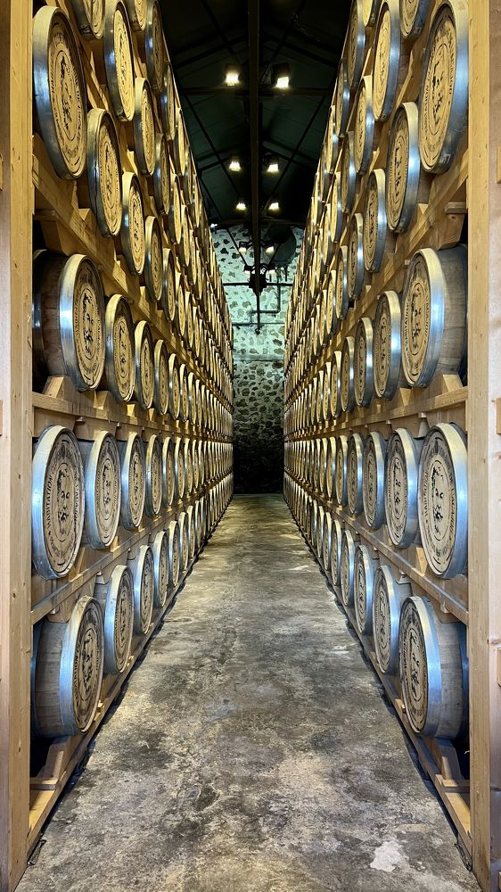 Фотография автора Kristine Raskosnaja