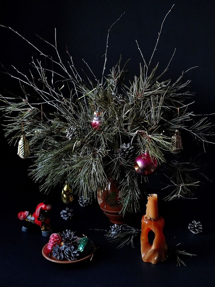 Photograph by Galina Novichkova