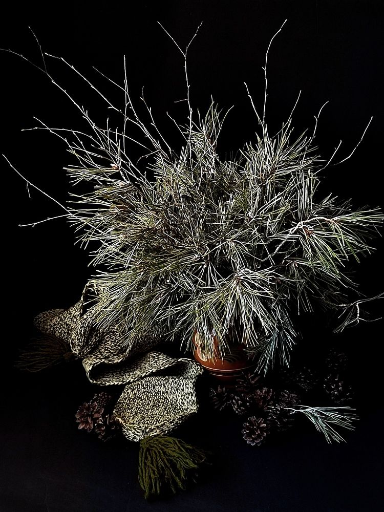 Photograph by Galina Novichkova