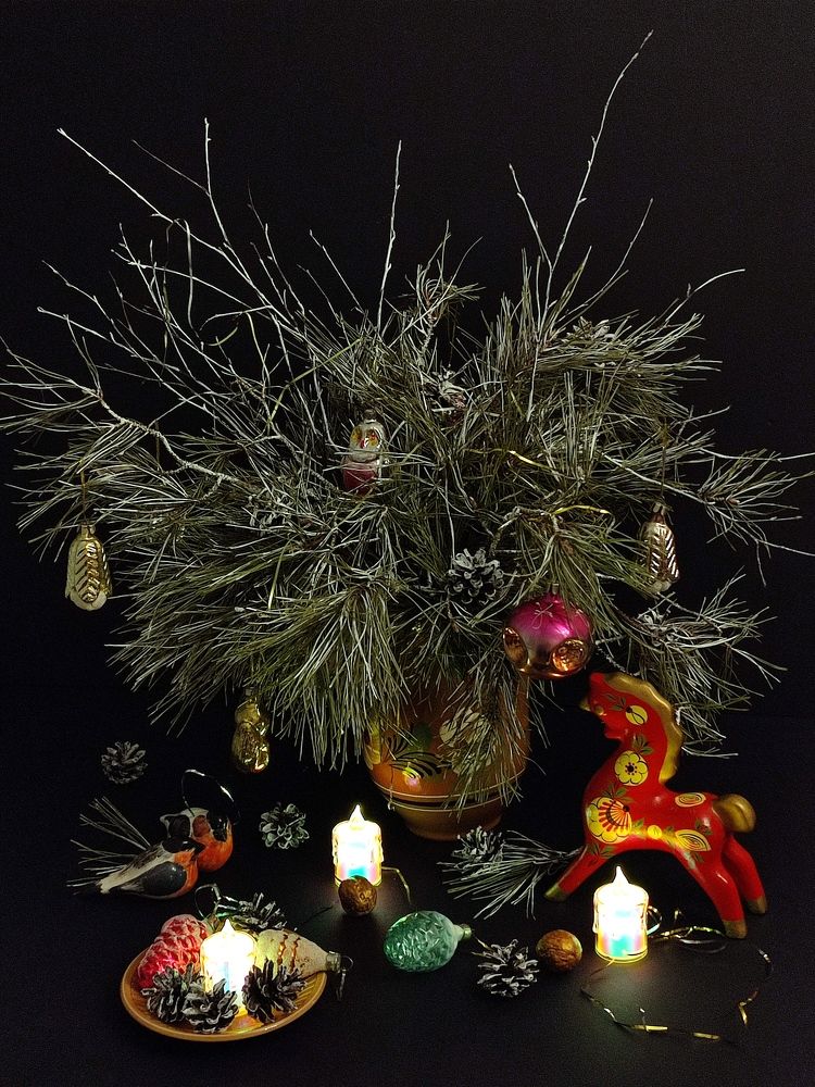 Photograph by Galina Novichkova