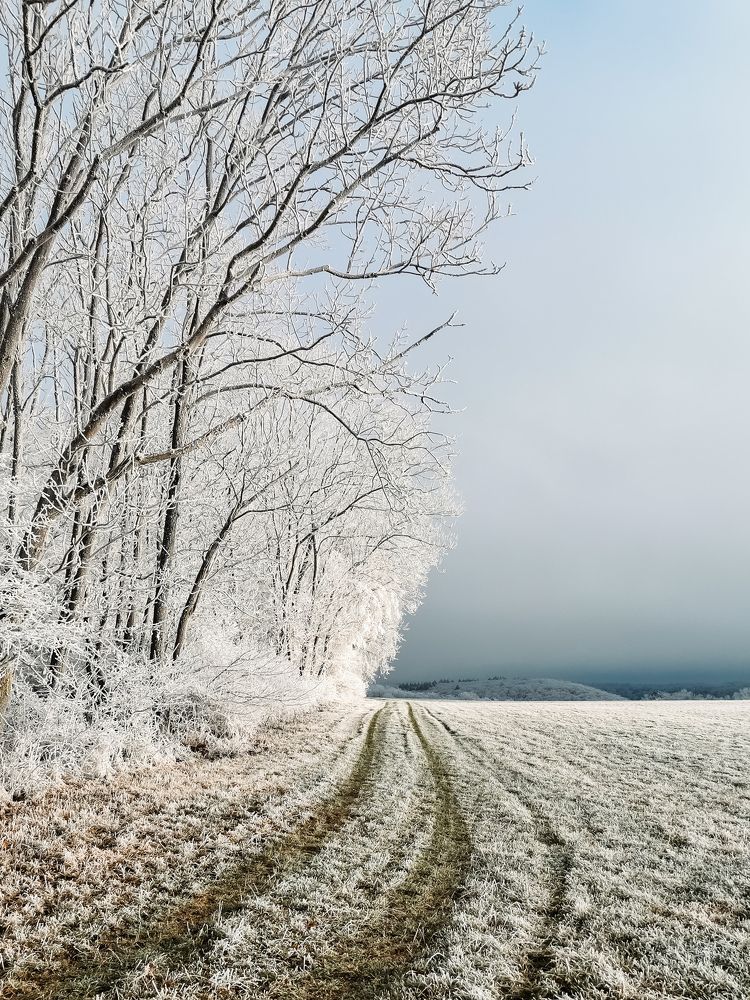 Photograph by Irina Tischer