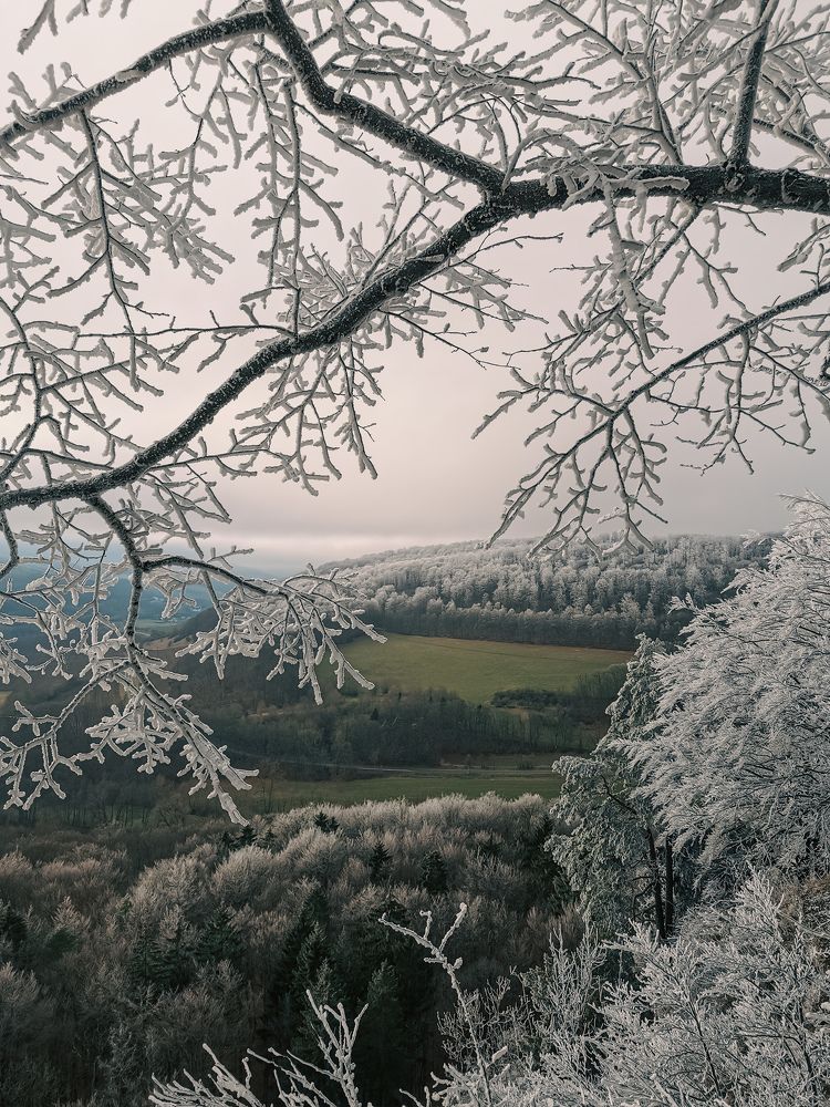 Photograph by Irina Tischer