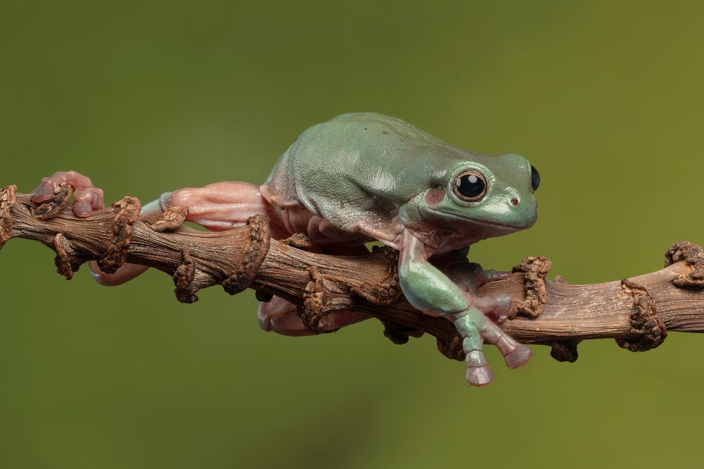 Фотография автора MARIA KULA