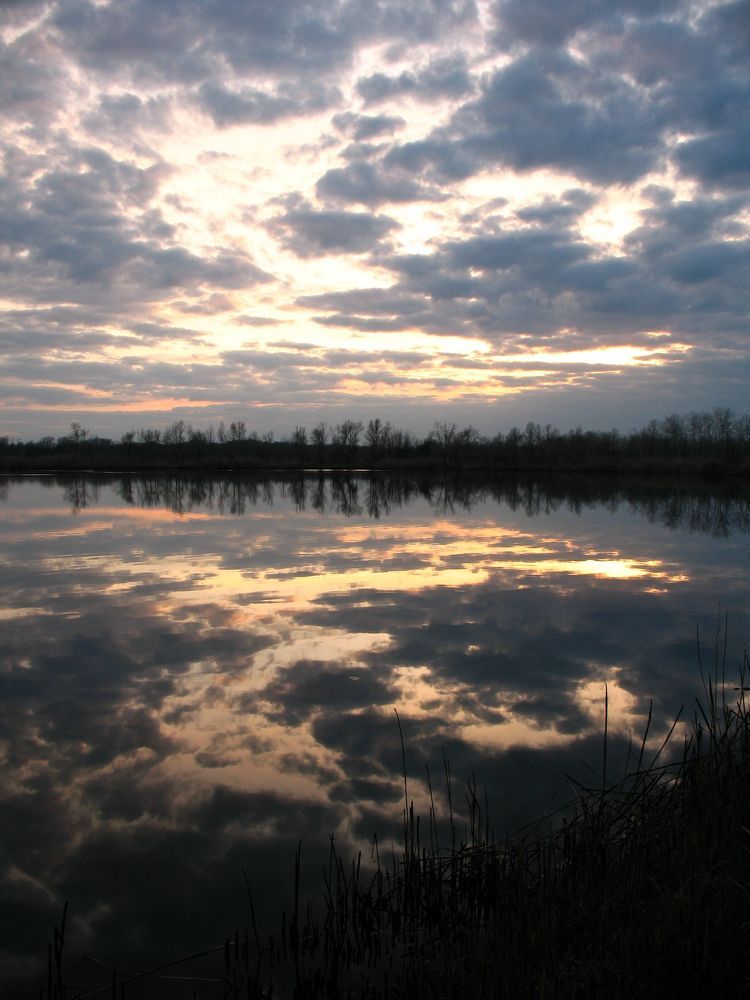 Фотография автора Евгений
