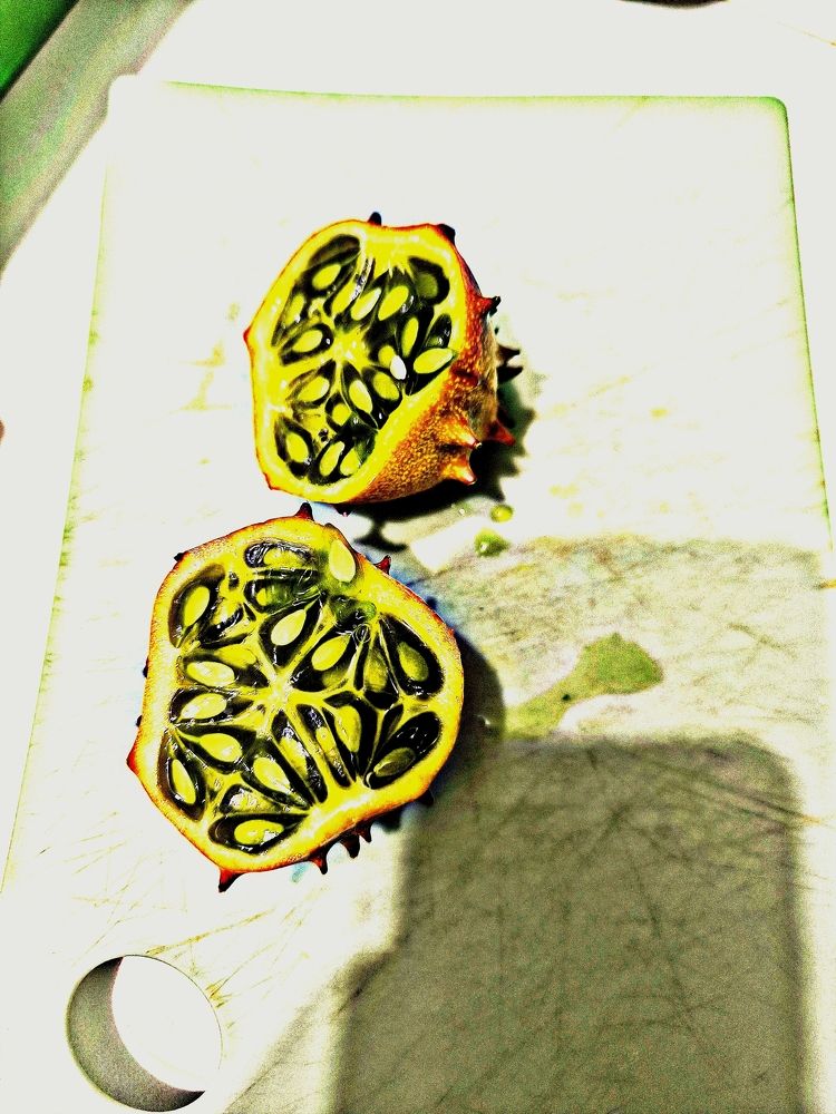 Photograph by Александр Житник