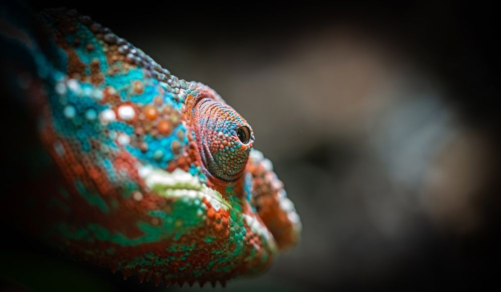 Photograph by Сергей Басов