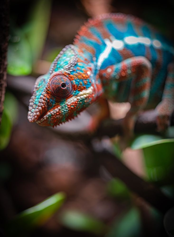 Photograph by Сергей Басов