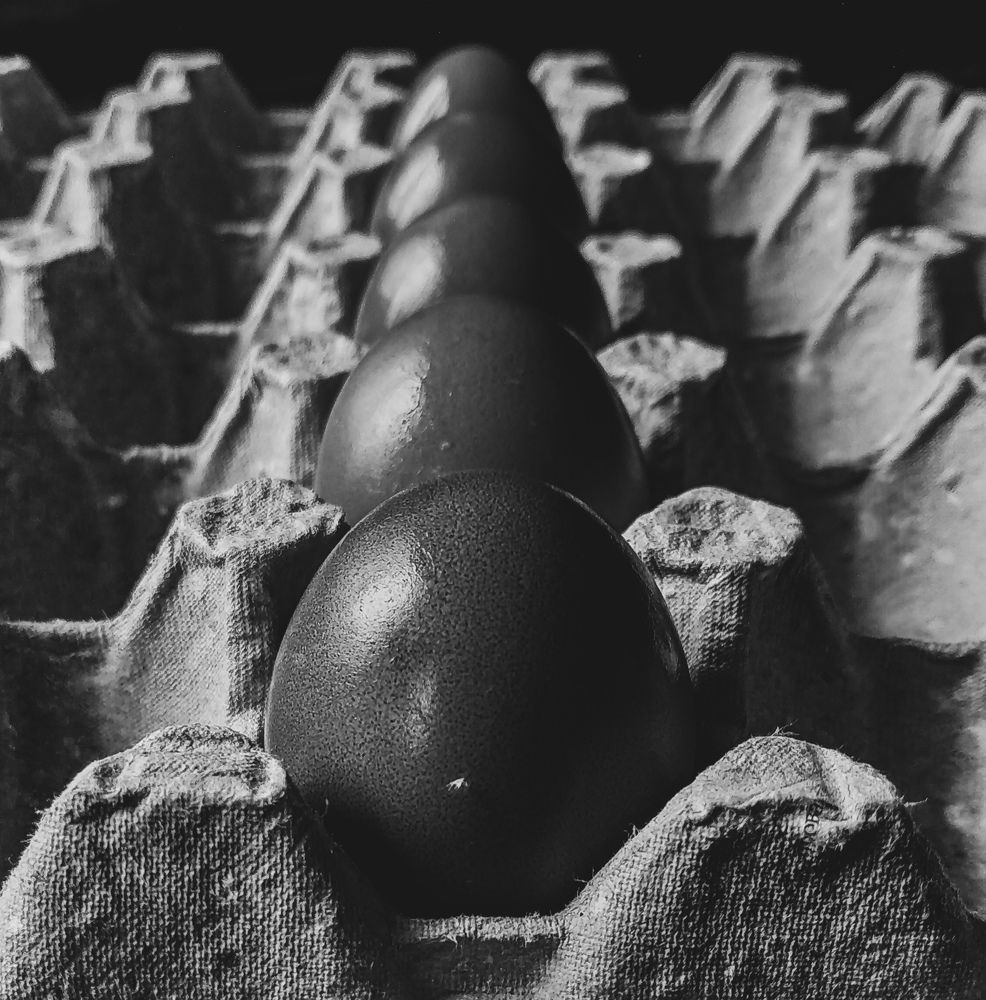 Фотография автора Юлия Якубова