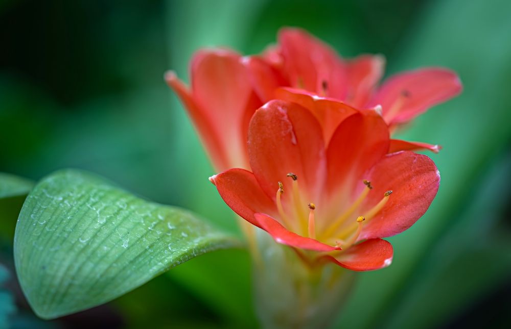 Photograph by Сергей Басов