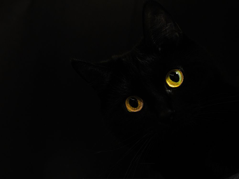 Photograph by Polina Kalder