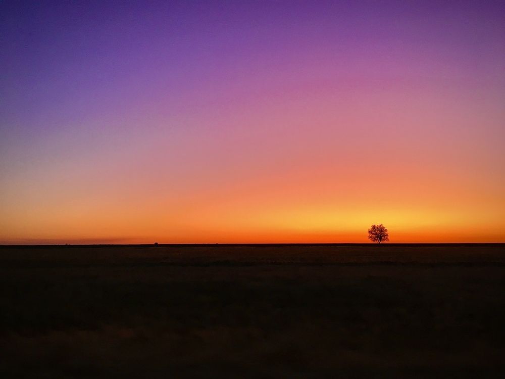 Photograph by Анна Леонова