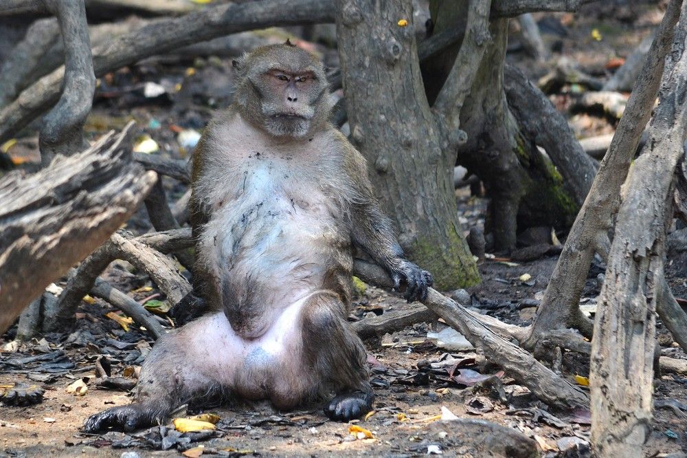 Фотография автора Наталья Владимировна