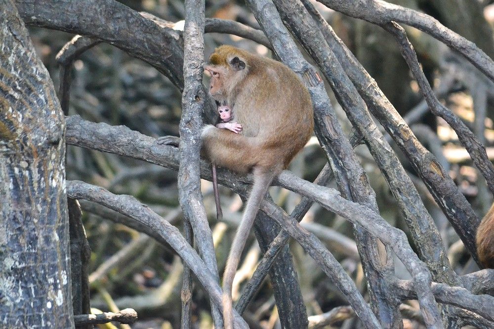 Фотография автора Наталья Владимировна