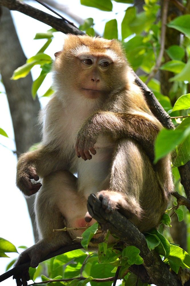 Фотография автора Наталья Владимировна