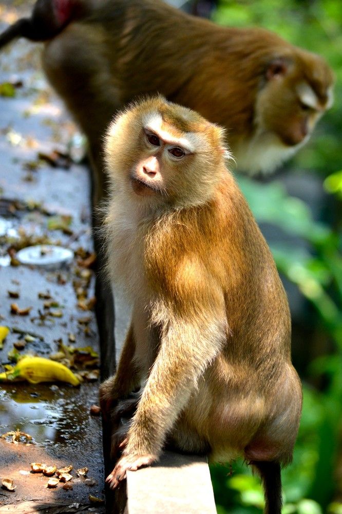 Фотография автора Наталья Владимировна